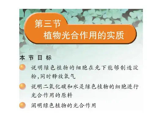 初中生物  植物光合作用的实质 苏教版精品课件