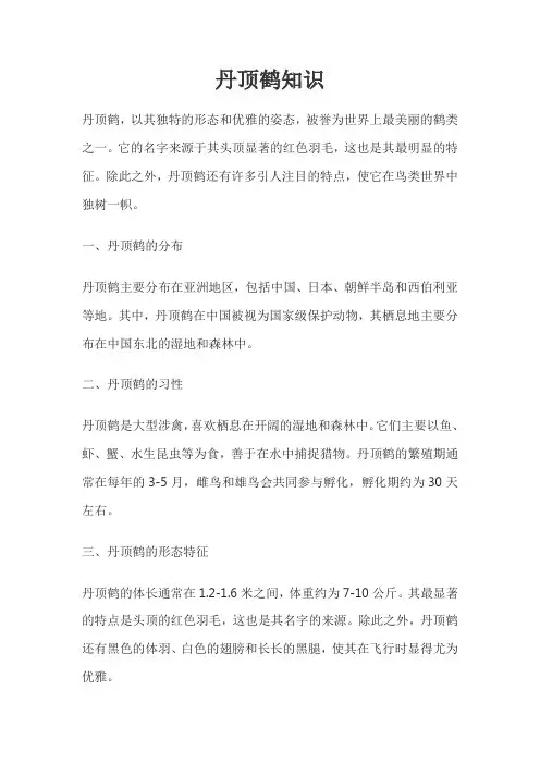 丹顶鹤知识