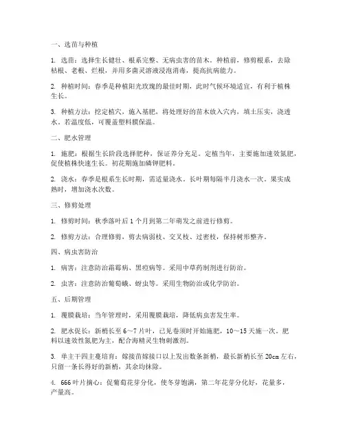 阳光玫瑰种植全年管理技术