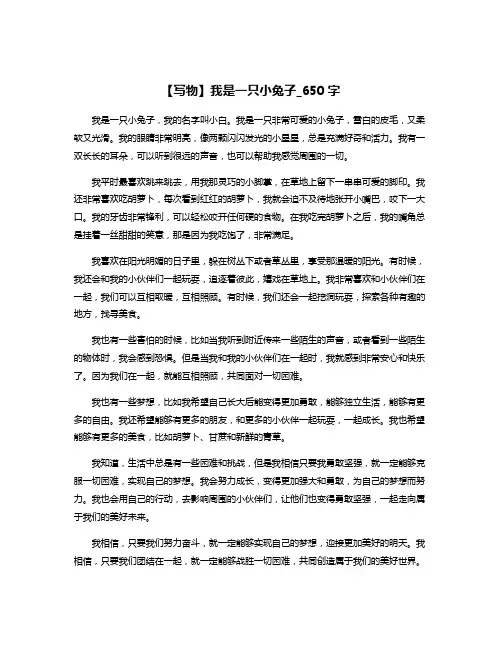 【写物】我是一只小兔子_650字