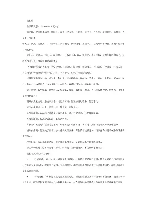 污泥镜检
