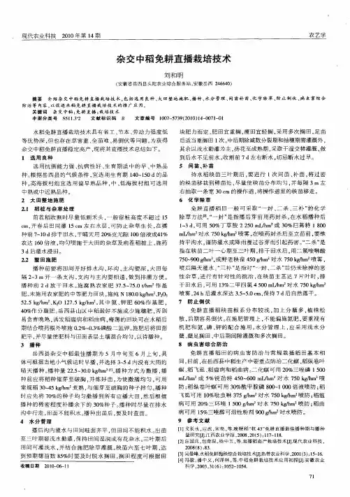 杂交中稻免耕直播栽培技术