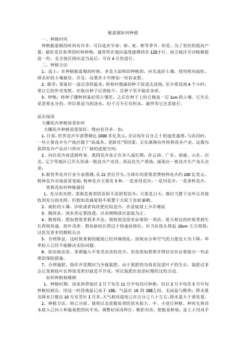 板蓝根如何种植