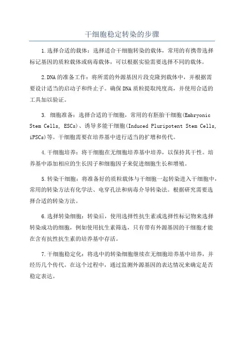 干细胞稳定转染的步骤