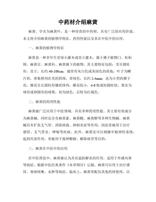 中药材介绍麻黄