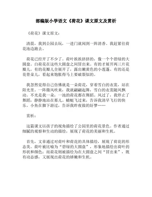 部编版小学语文《荷花》课文原文及赏析