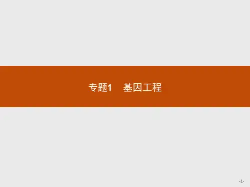 精品高中生物人教版选修3课件：《 DNA重组技术的基本工具》课件ppt