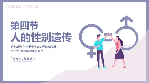 人教版八年级生物下册人的性别遗传PPT课件