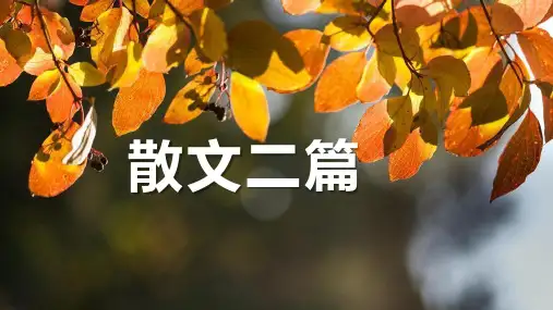 第16课《散文二篇》课件(共26张PPT)2023-2024学年统编版语文八年级上册