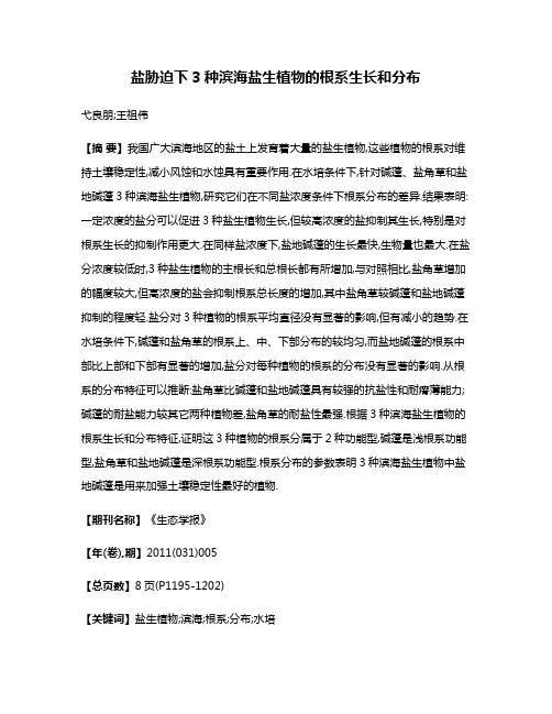 盐胁迫下3种滨海盐生植物的根系生长和分布