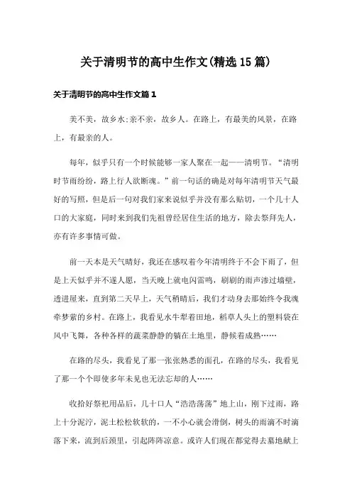 关于清明节的高中生作文(精选15篇)