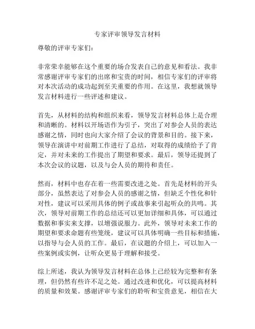 专家评审领导发言材料
