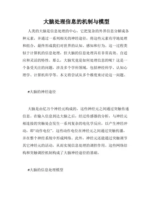 大脑处理信息的机制与模型