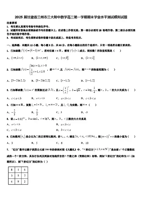 2025届甘肃省兰州市兰大附中数学高三第一学期期末学业水平测试模拟试题含解析