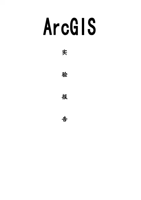 实验报告
