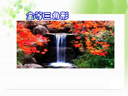 三角形全等的判定 (2)