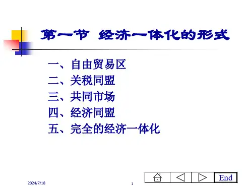 国际经济学之经济一体化与关税同盟理论48页PPT