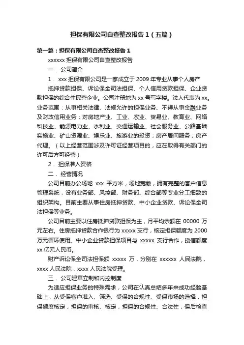 担保有限公司自查整改报告1（五篇）
