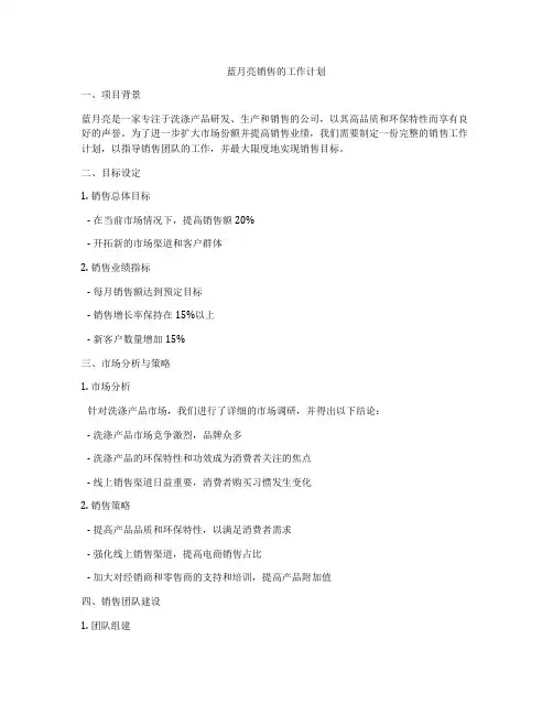 蓝月亮销售的工作计划