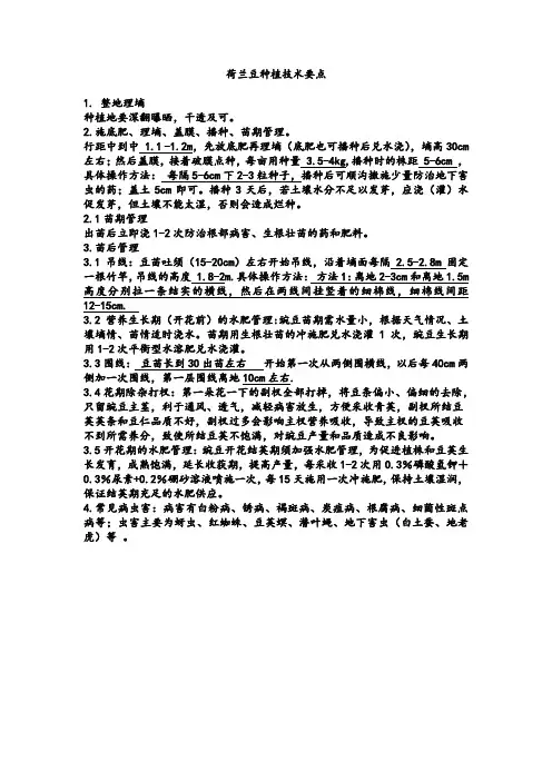 荷兰豆种植技术要点讲解