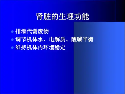 肾脏的生理功能