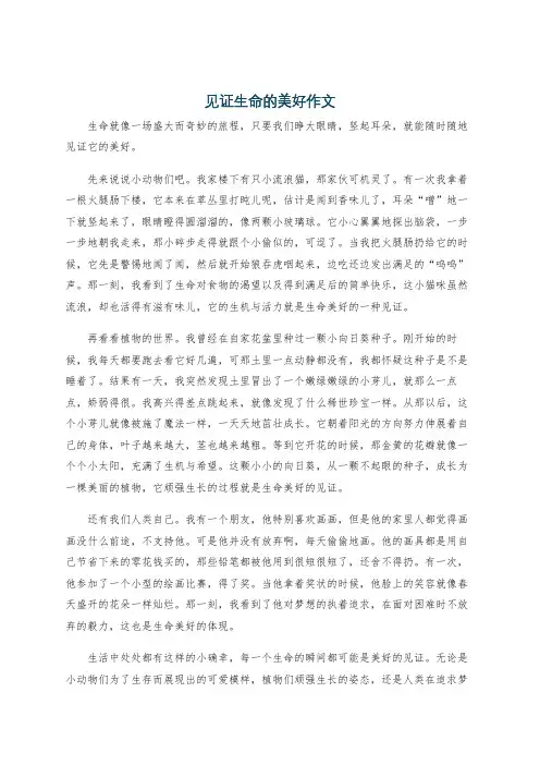见证生命的美好作文