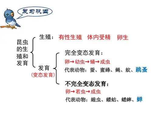 人教版八年级生物下册7.1.3两栖动物的生殖和发育