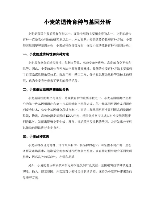 小麦的遗传育种与基因分析