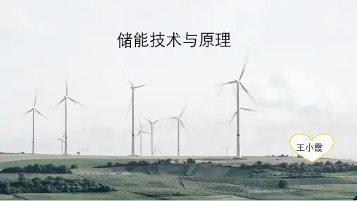 储能PPT