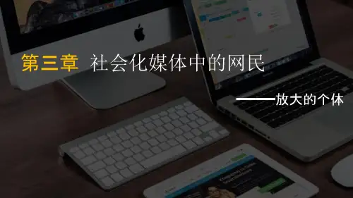 社会化媒体教学课件3社会化媒体中的网民