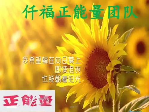 正能量团队打造  ppt课件