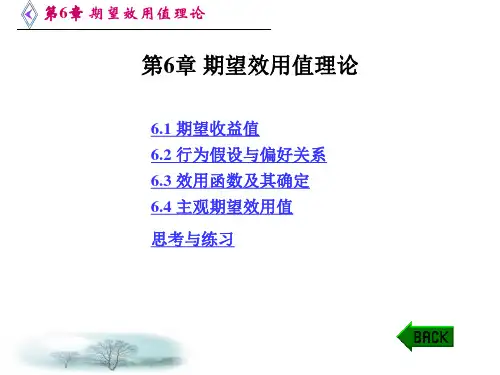第六章 期望效用值理论