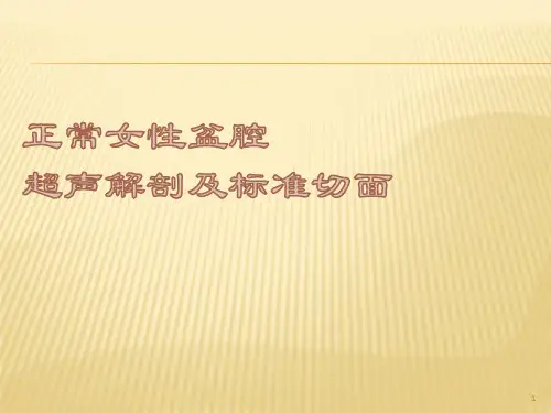 正常女性盆腔超声解剖及标准切面ppt课件