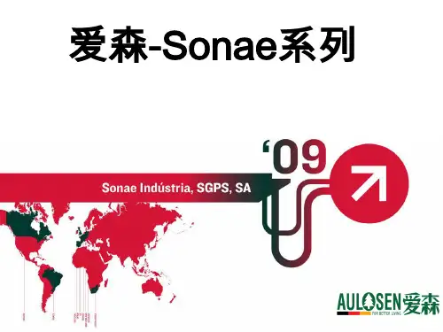 Sonae-德国爱森