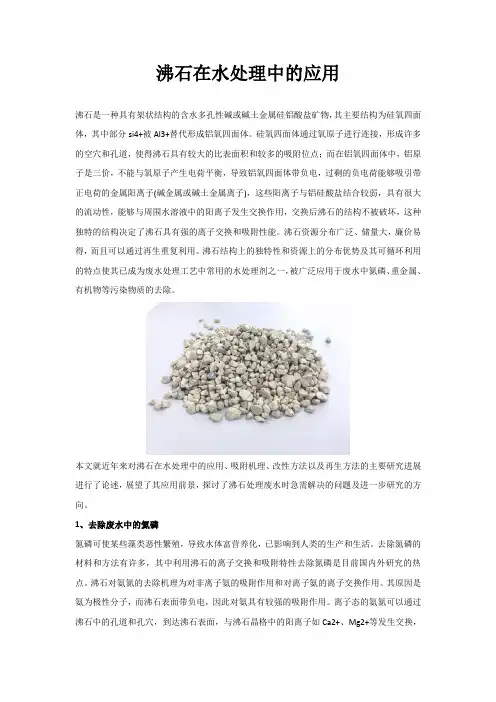 沸石在水处理中的应用