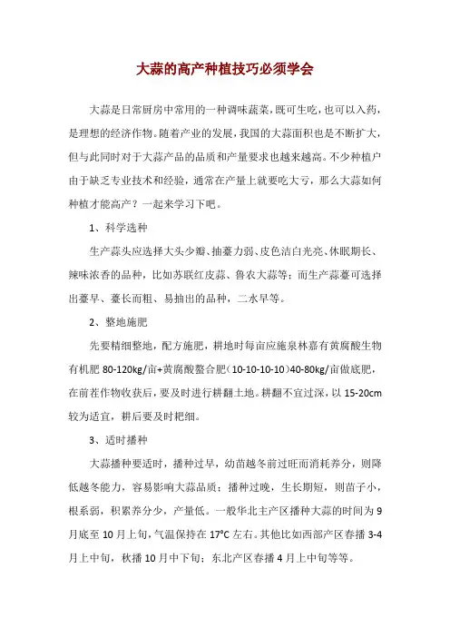 大蒜的高产种植技巧必须学会