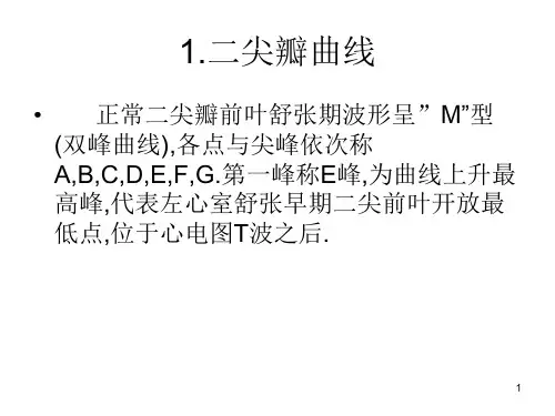 心脏疾病的超声诊断ppt课件