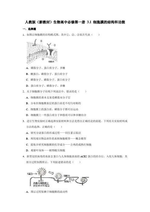 人教版(2019)高中生物必修1《分子与细胞》 第3章 3.1 细胞膜的结构和功能 同步练习 (1)