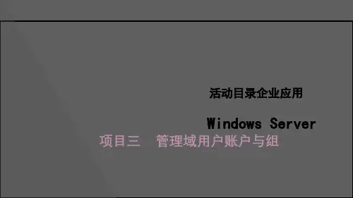 Windows Server活动目录企业应用Windows Server管理域用户账户和组