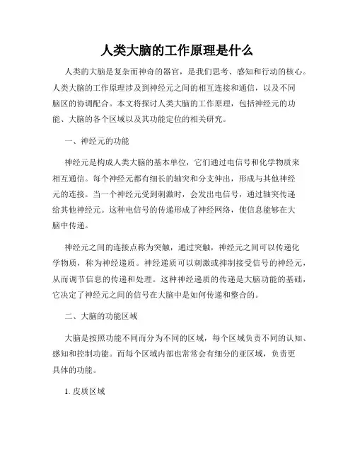 人类大脑的工作原理是什么