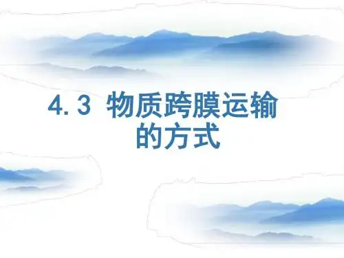 物质跨膜运输的方式(一轮复习课件)