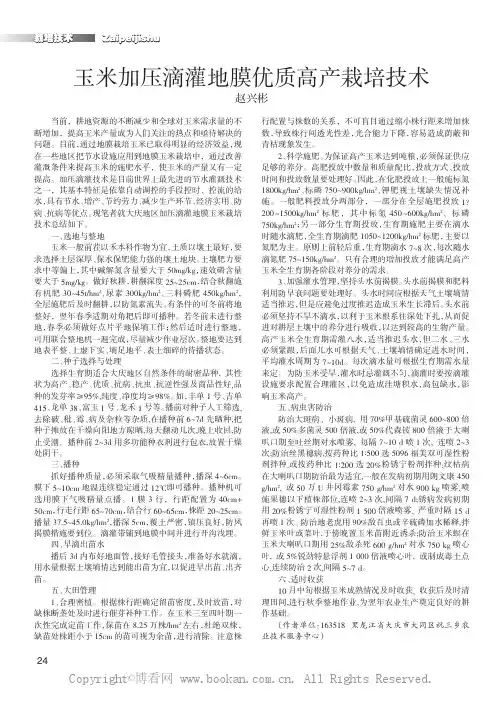 玉米加压滴灌地膜优质高产栽培技术
