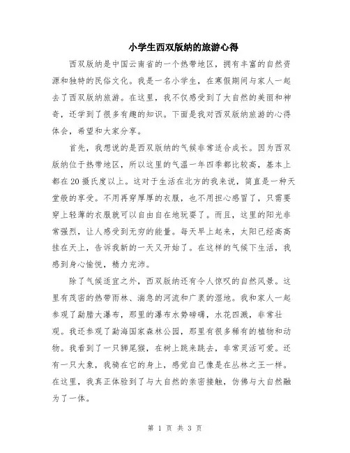 小学生西双版纳的旅游心得