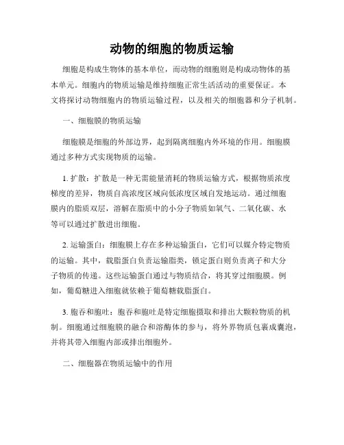 动物的细胞的物质运输