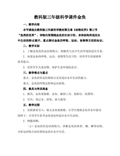 教科版三年级科学课件金鱼