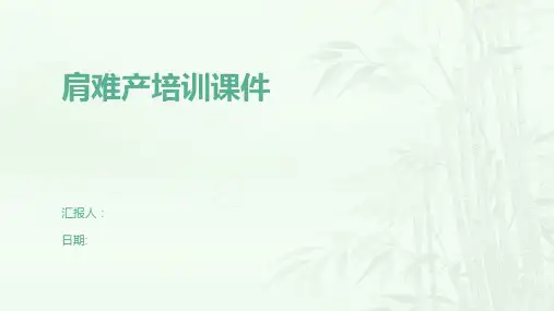 肩难产培训课件