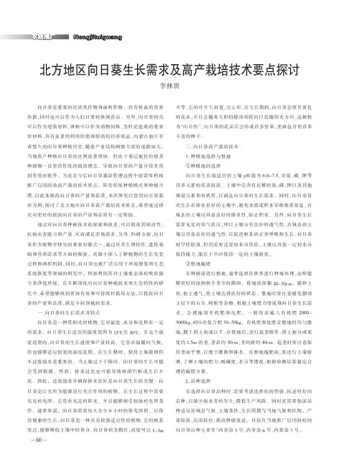 北方地区向日葵生长需求及高产栽培技术要点探讨