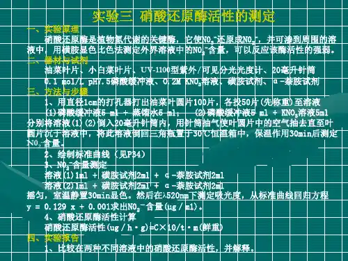 植生实验-硝酸还原酶