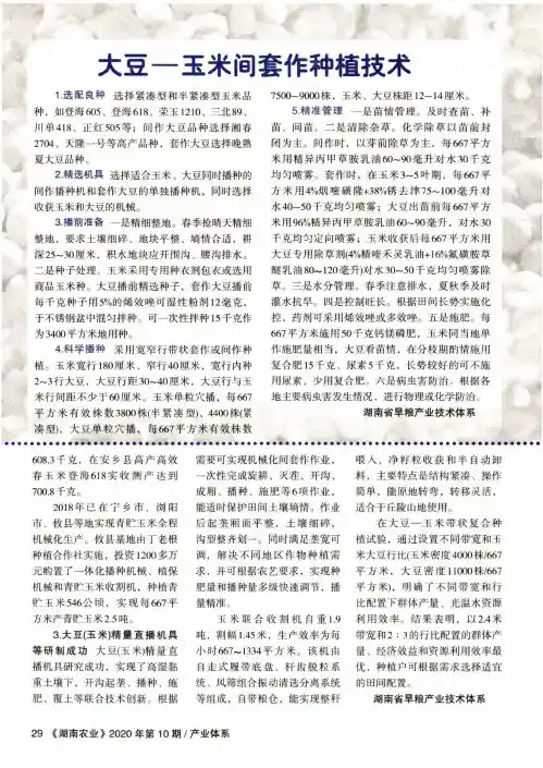 大豆—玉米间套作种植技术