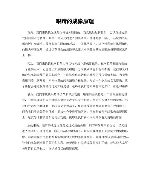 眼睛的成像原理